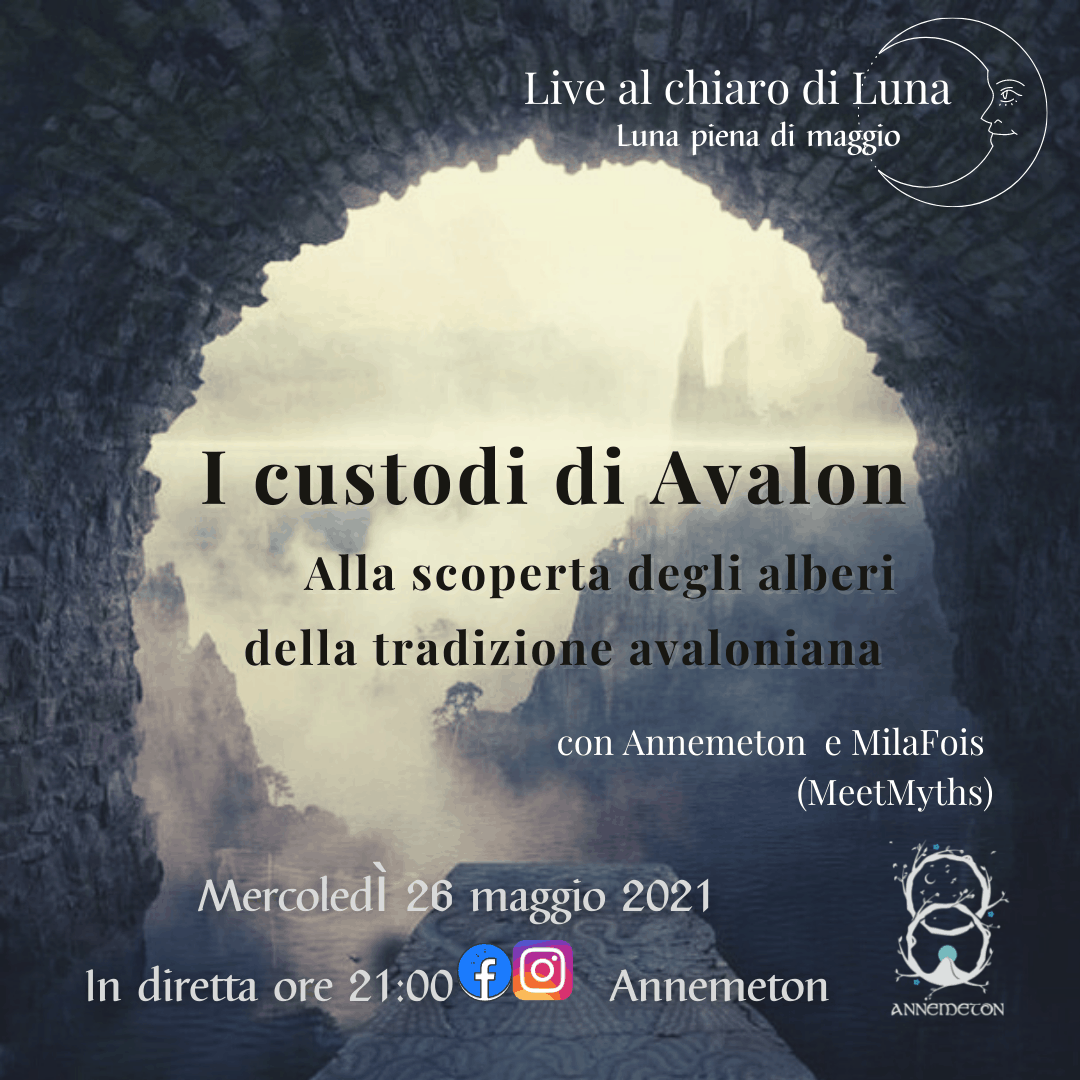 I custodi di Avalon