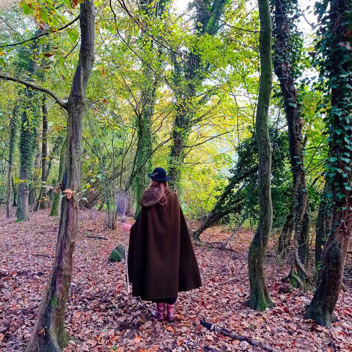 bosco autunno